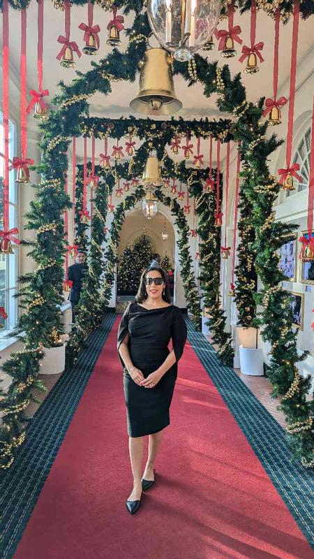 Customer photo for "Classy and elegant style dress!"