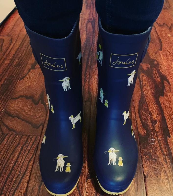 Review Thumbnail Image 0 211565212