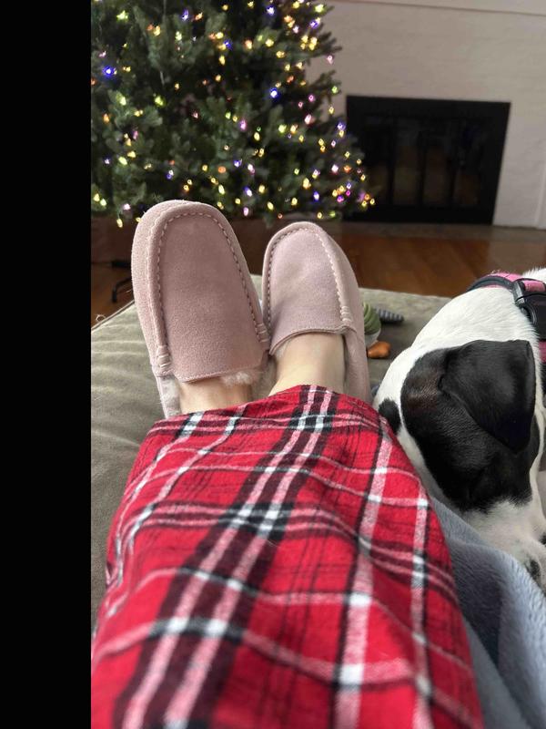 Review Thumbnail Image 0 247253706