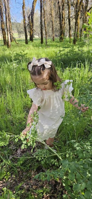 Review Thumbnail Image 0 241270971