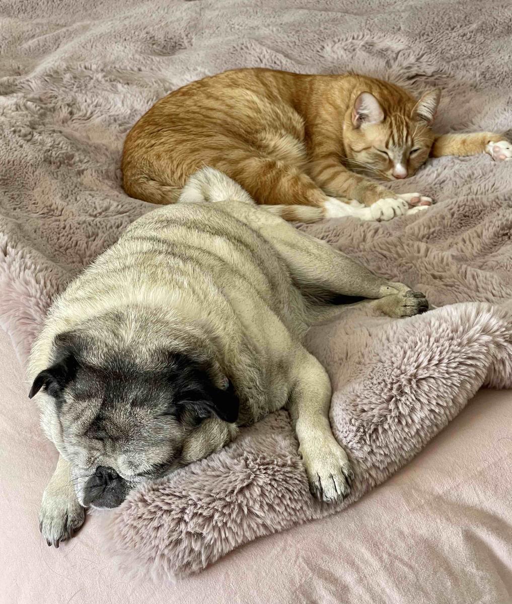 Review Thumbnail Image 0 205504410