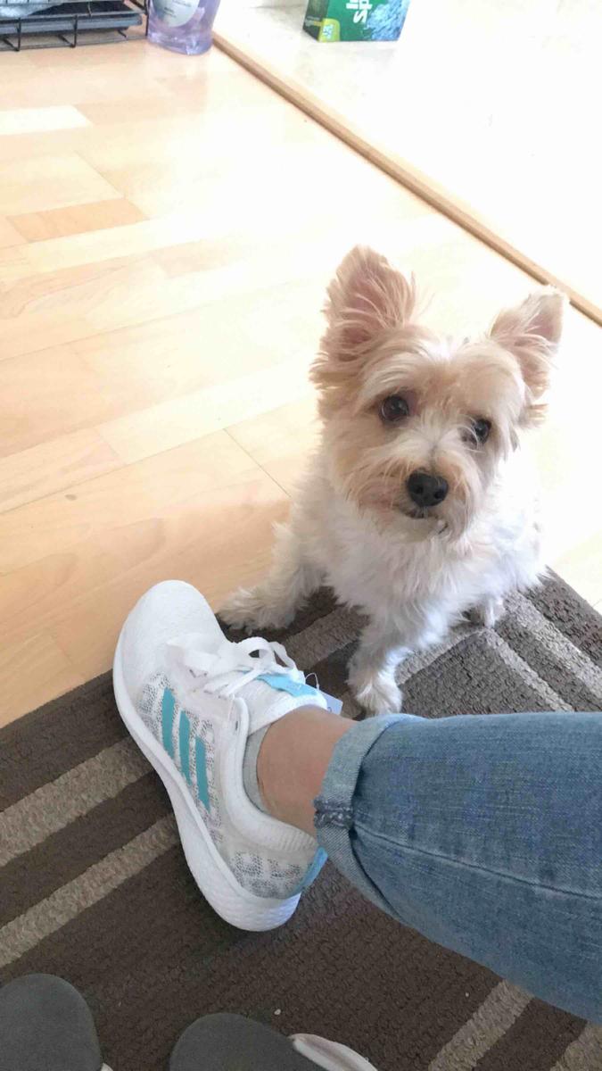 Review Thumbnail Image 0 199974867