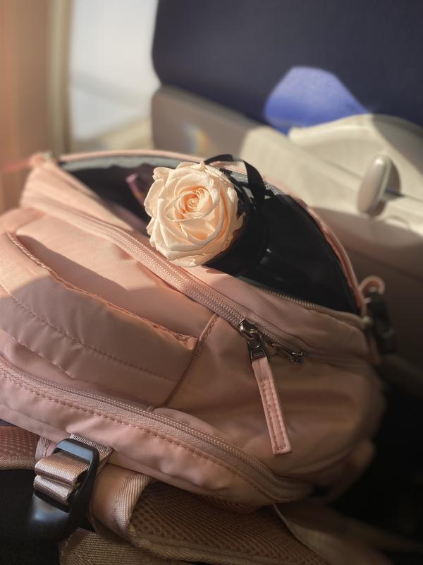 Review Thumbnail Image 0 231168134