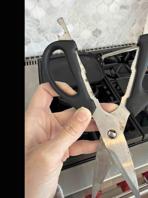 Review Thumbnail Image 0 247553560