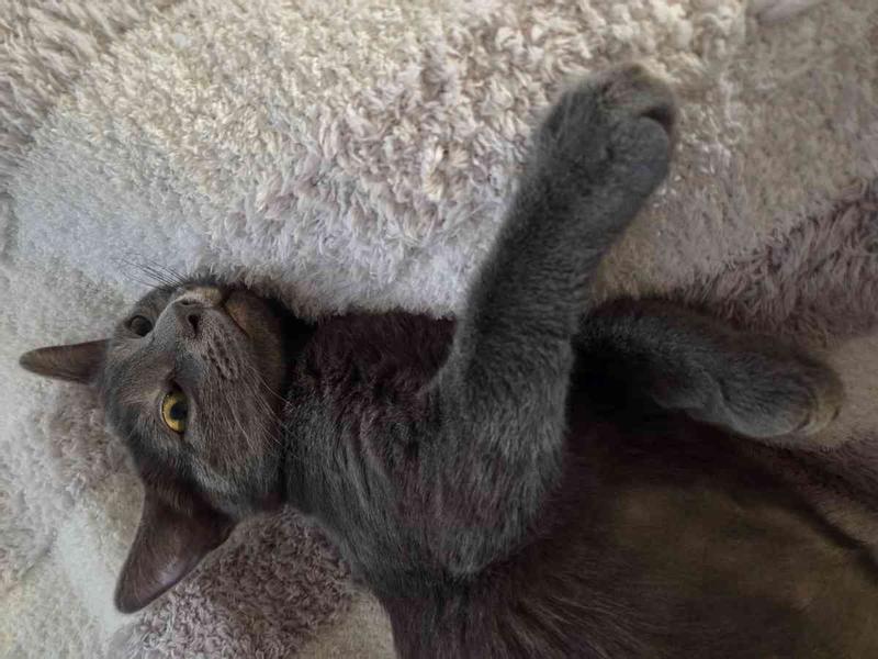 Review Thumbnail Image 1 243472459