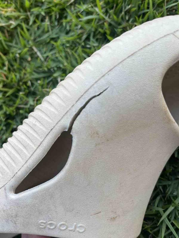 Review Thumbnail Image 0 231842079