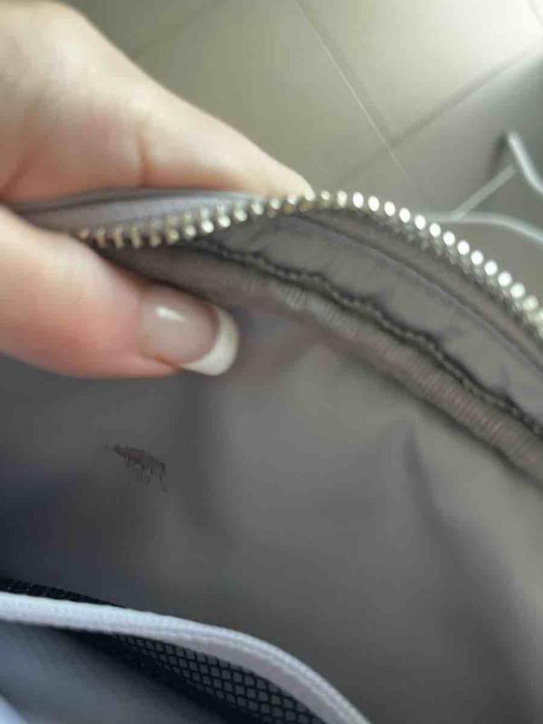 Review Thumbnail Image 3 231674361