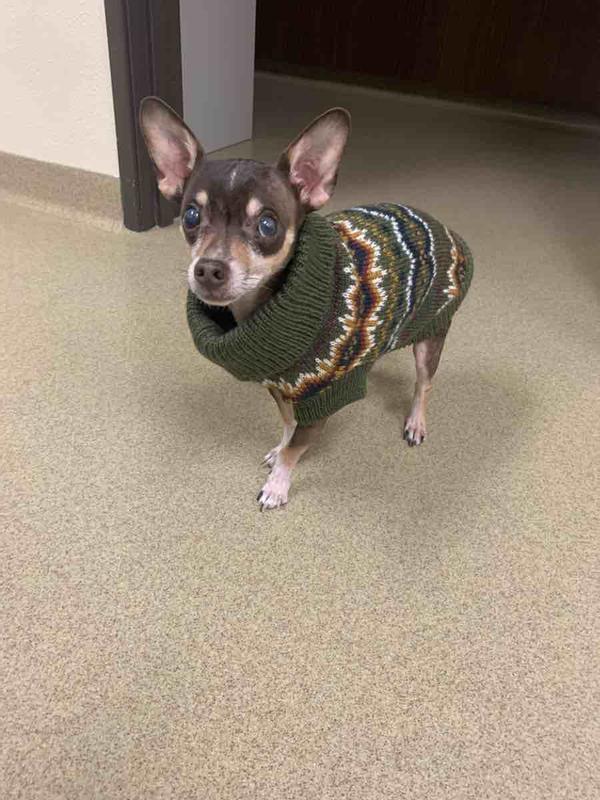 Review Thumbnail Image 1 227682072