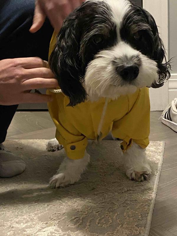 Review Thumbnail Image 0 212032199