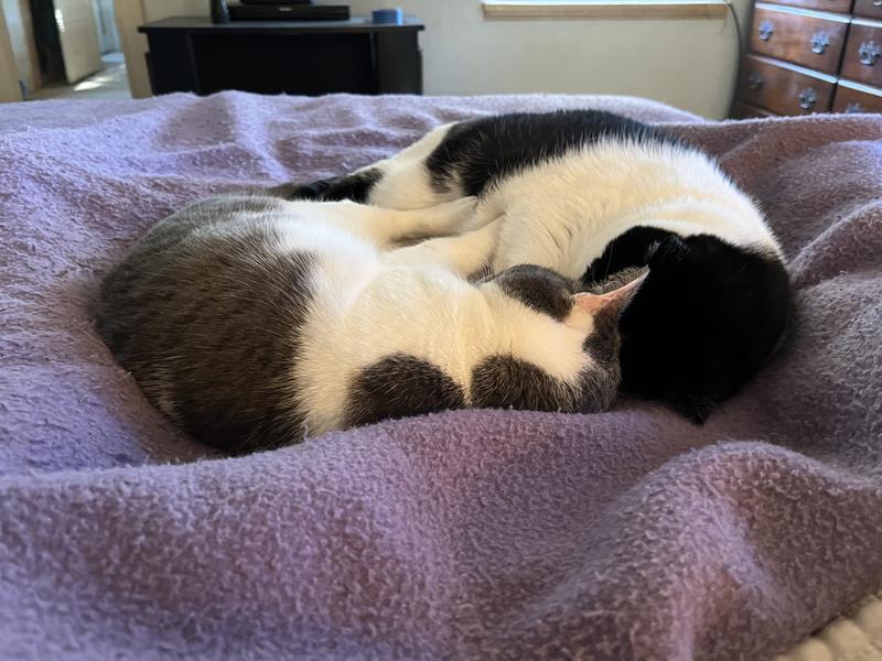 Review Thumbnail Image 0 240534467