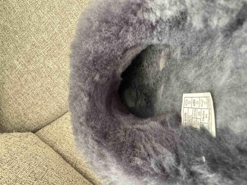 believe the BAD reviews