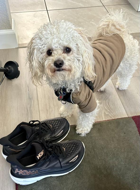 Best walking shoe ever