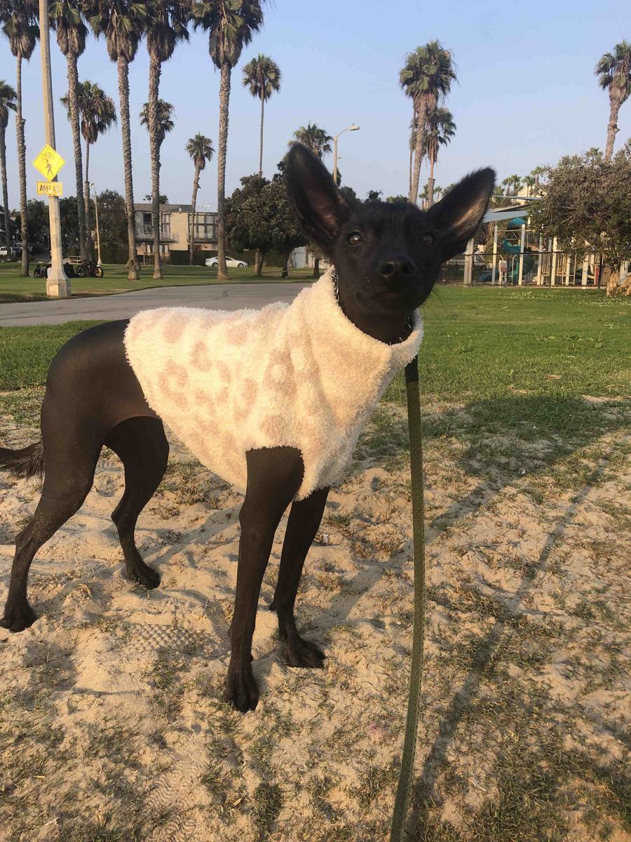 Review Thumbnail Image 0 210145006