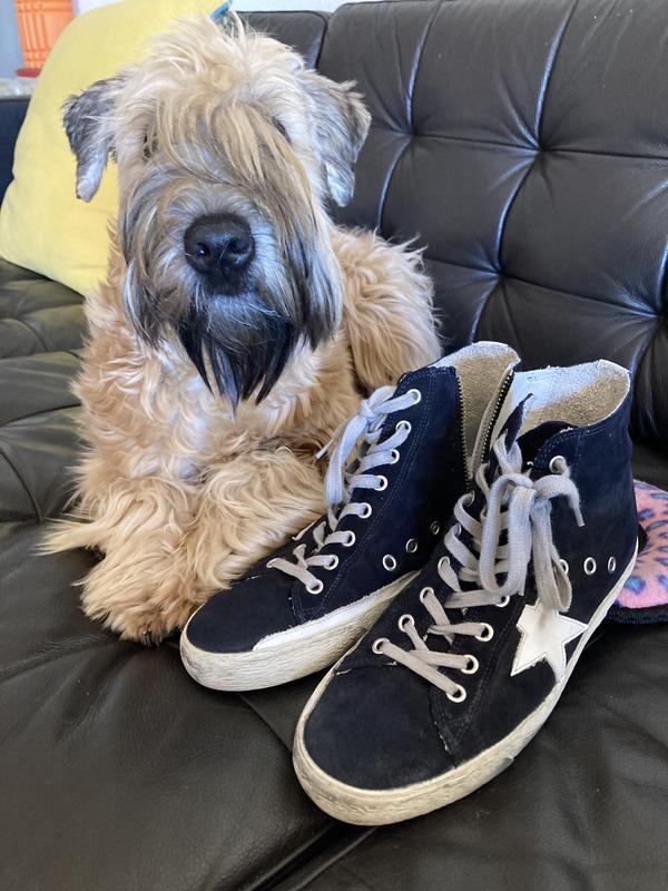 Review Thumbnail Image 0 215404042