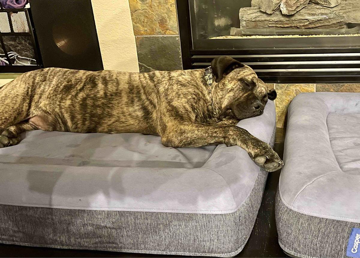 Review Thumbnail Image 0 208777844