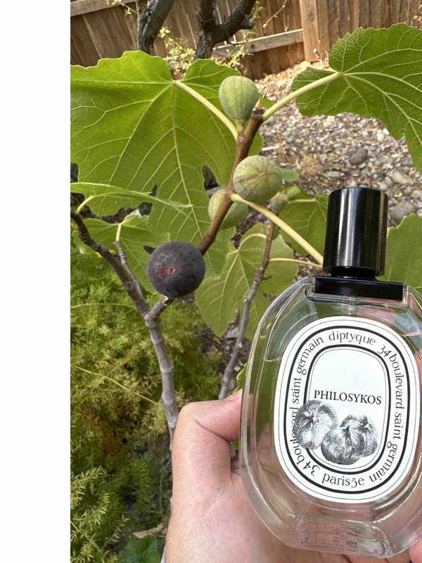 Review Thumbnail Image 0 227552336