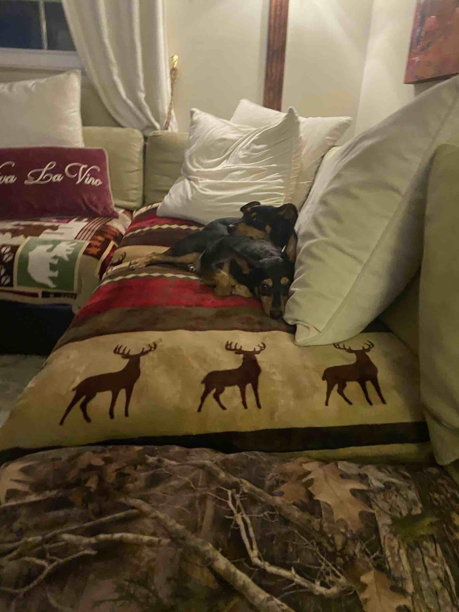 Review Thumbnail Image 0 201374774