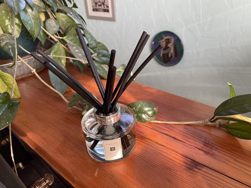 Customer photo for "Celebrating the essence of Wood Sage and Sea Salt."