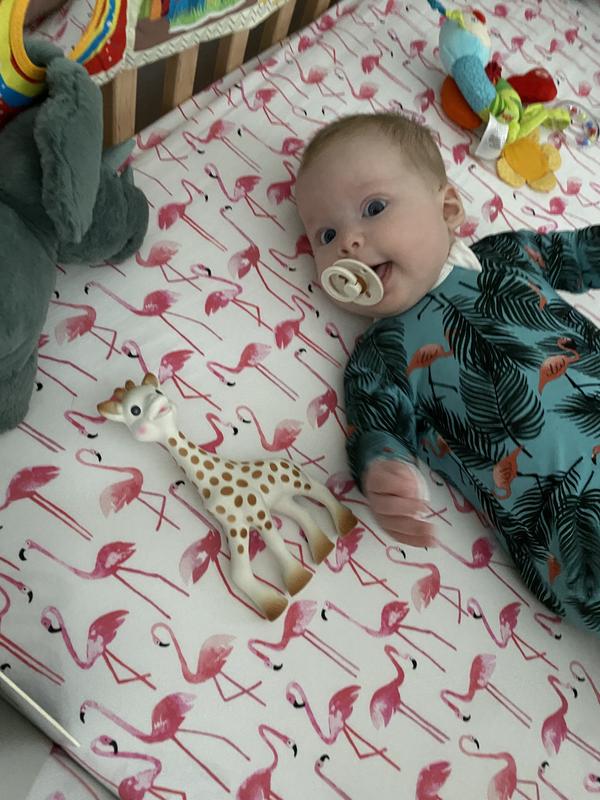 Review Thumbnail Image 0 212780818