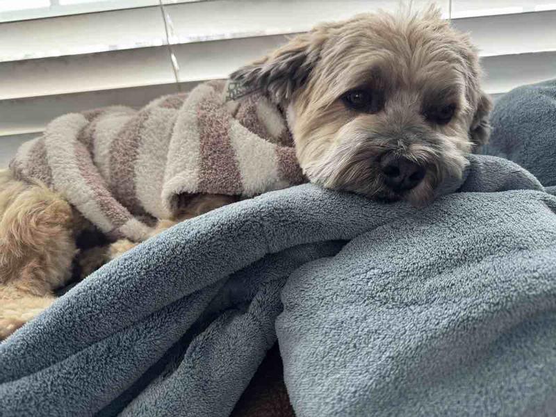 Review Thumbnail Image 0 239905110