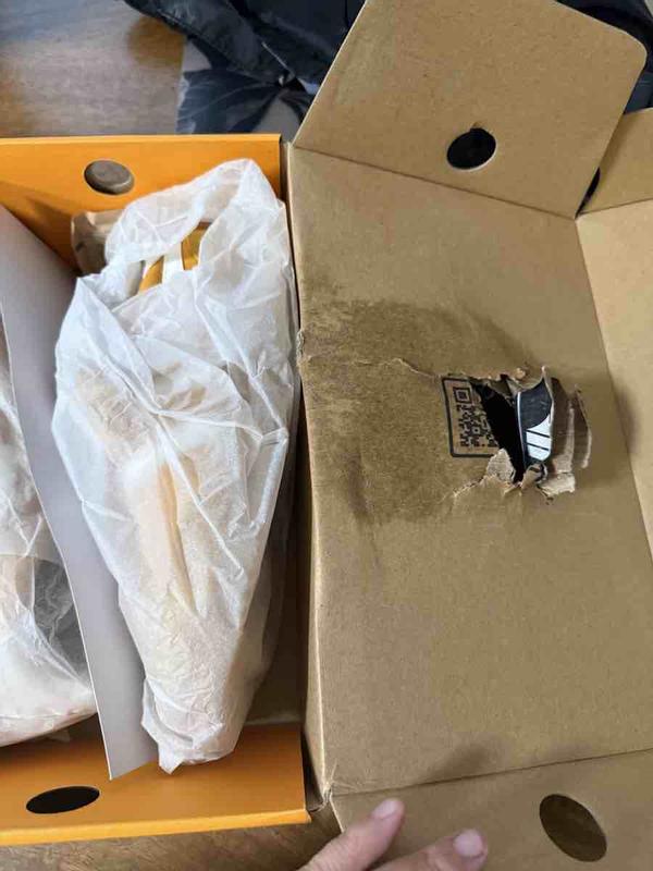 Review Thumbnail Image 0 248784578