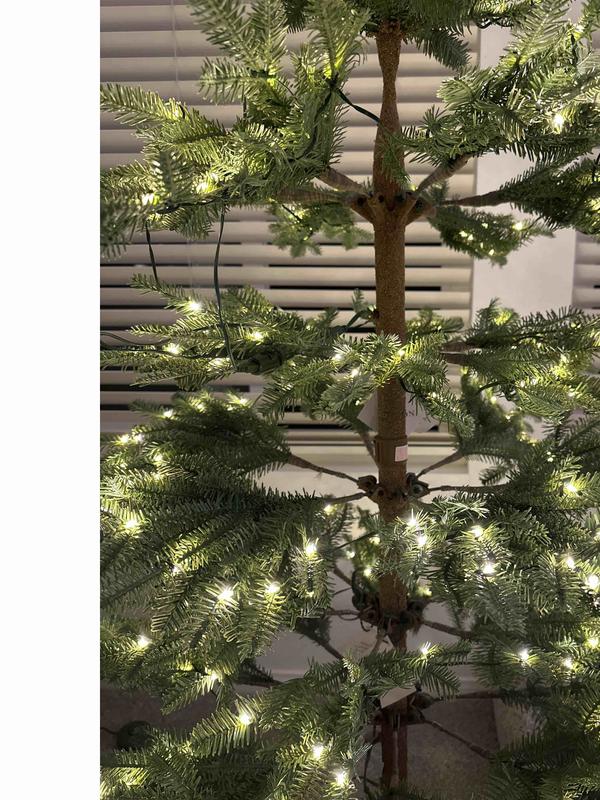 Review Thumbnail Image 0 229574400