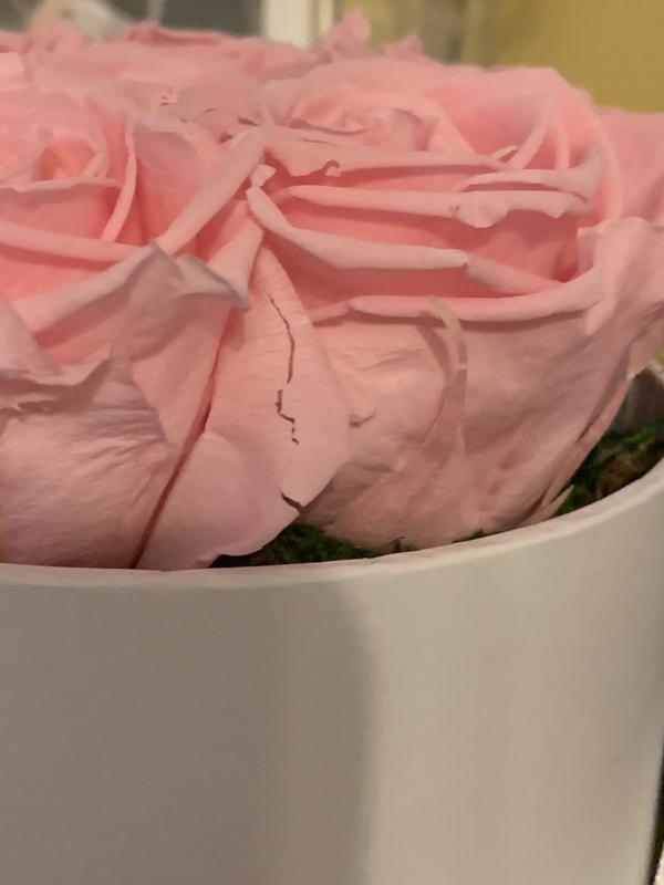 Review Thumbnail Image 1 215180260