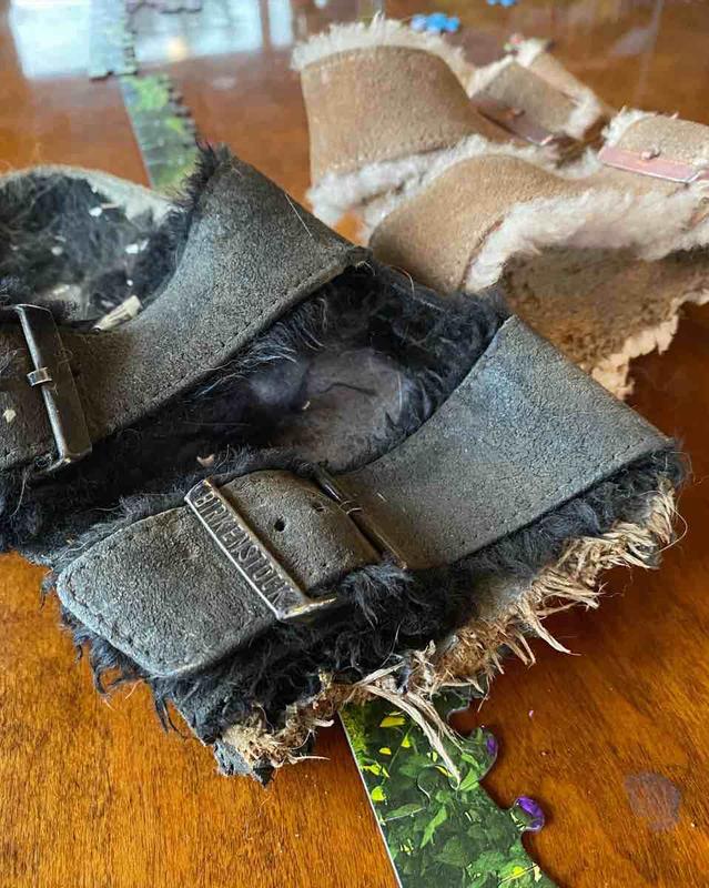 Both perished in the Burrow Birkenstock massacre.