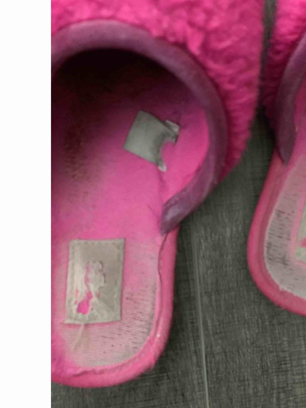 Customer photo for "cute but not worth the price"