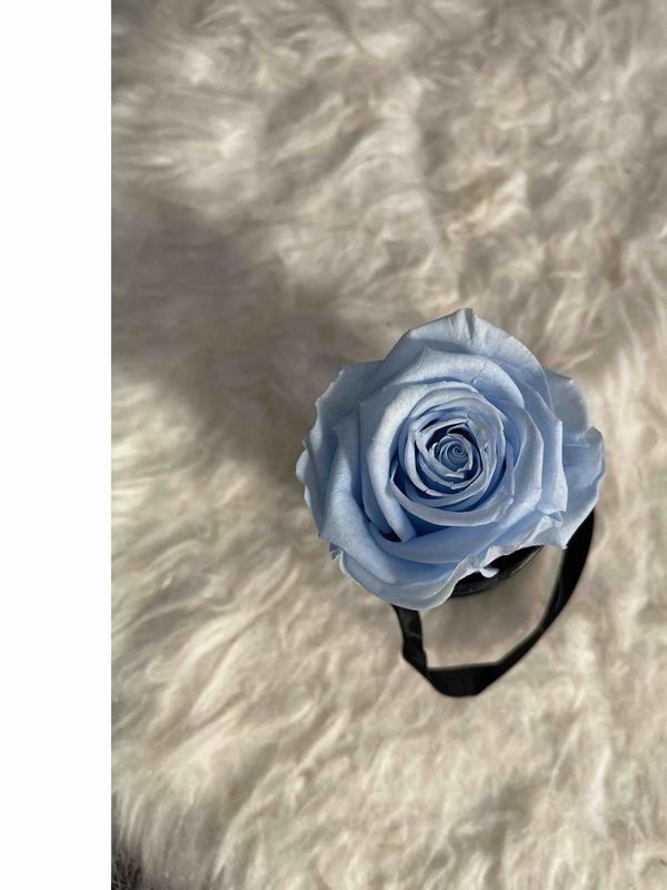 Review Thumbnail Image 1 230031955