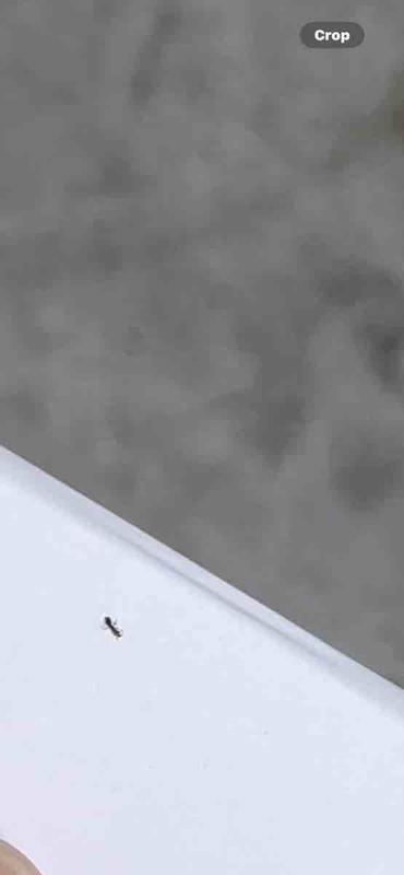 Review Thumbnail Image 5 234906204