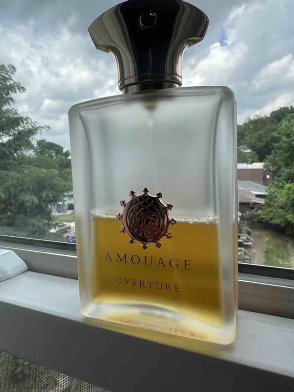 Review Thumbnail Image 0 234676308