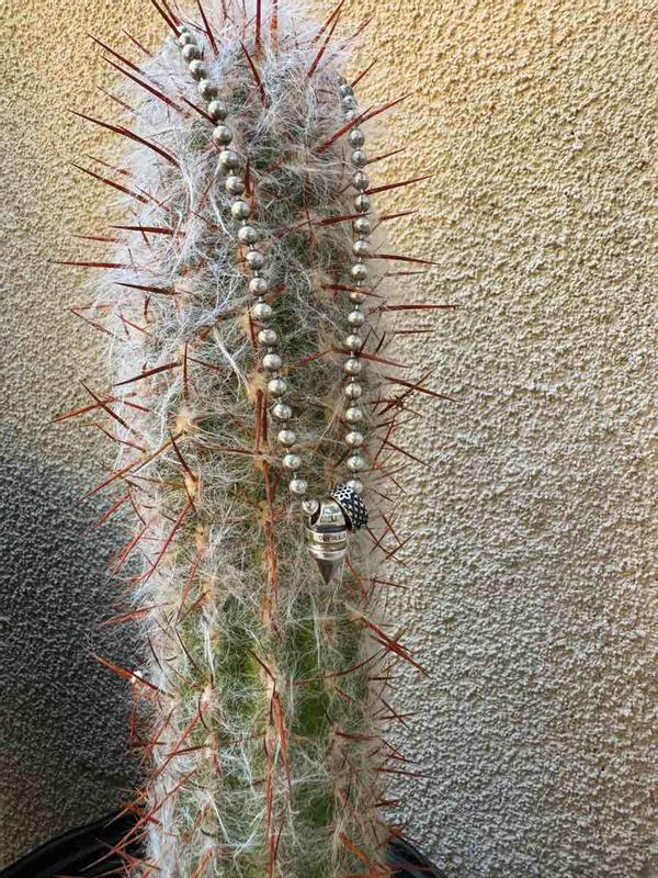 Review Thumbnail Image 0 235949902