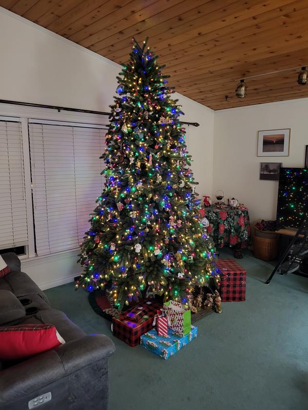 Review Thumbnail Image 0 222046346