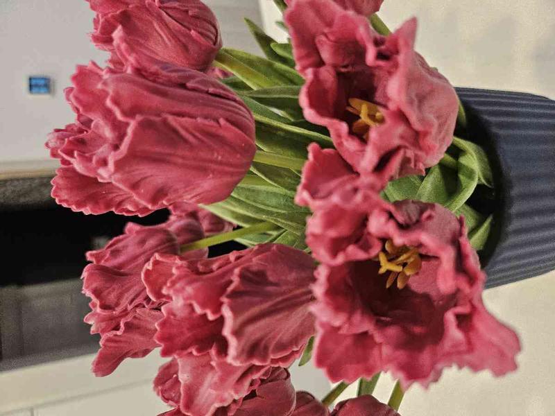 Review Thumbnail Image 1 244243178