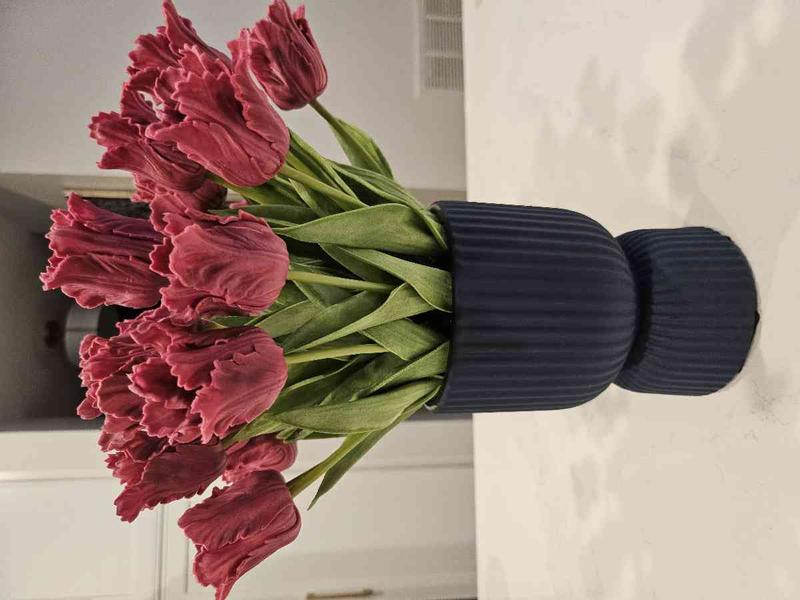 Review Thumbnail Image 0 244243178