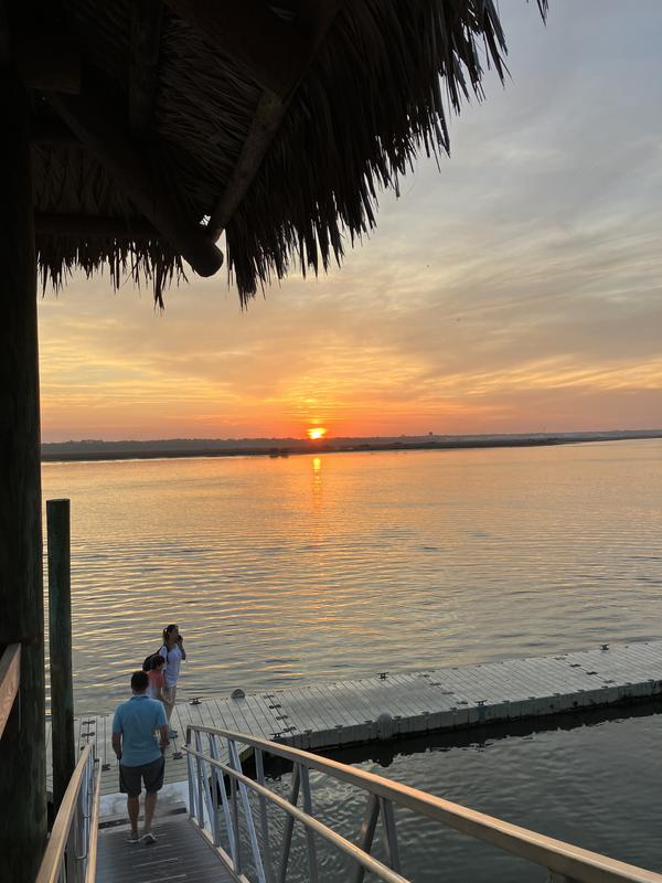 Review Thumbnail Image 1 242160506