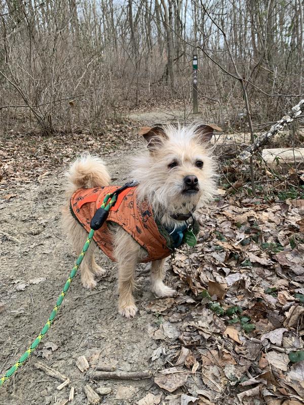 Review Thumbnail Image 0 214591348