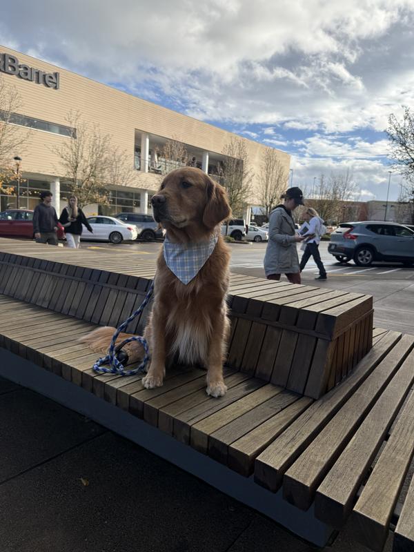 Review Thumbnail Image 0 246717632