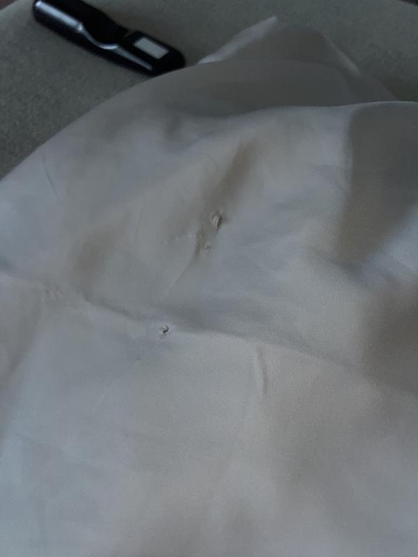 Review Thumbnail Image 0 239233005