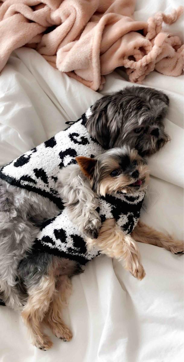 Review Thumbnail Image 1 199791647