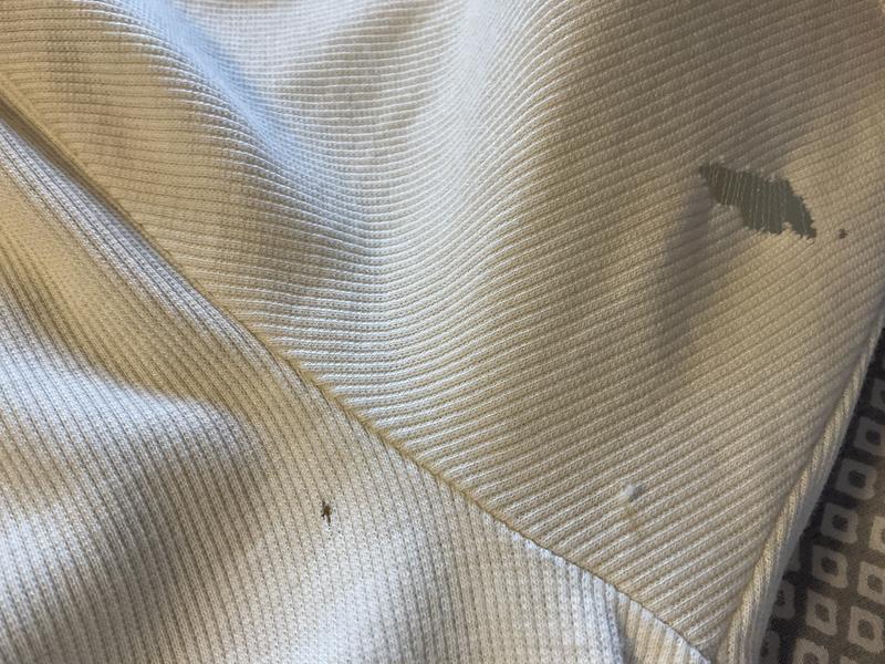 Review Thumbnail Image 1 237751686