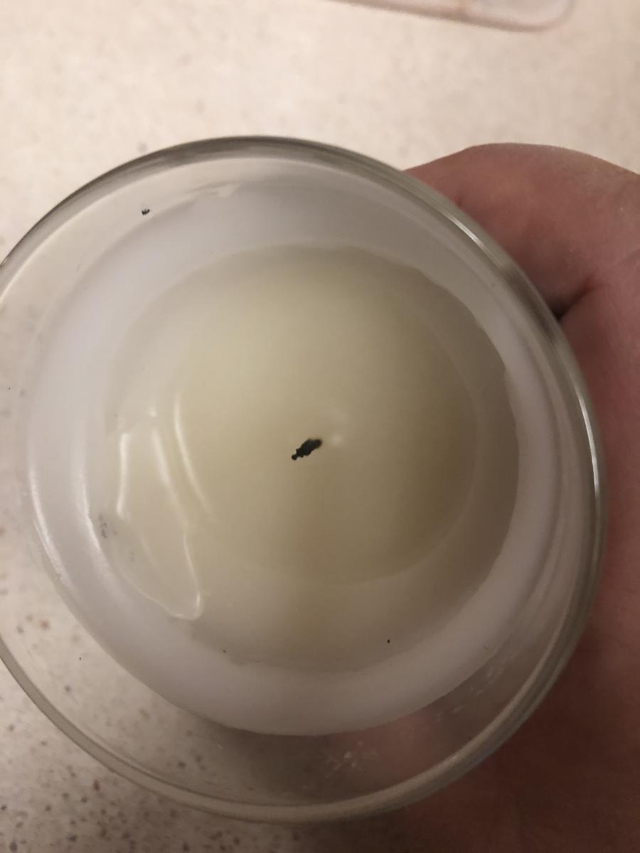 Review Thumbnail Image 0 204066898