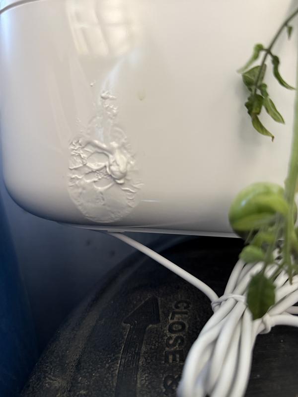 Review Thumbnail Image 0 238786076