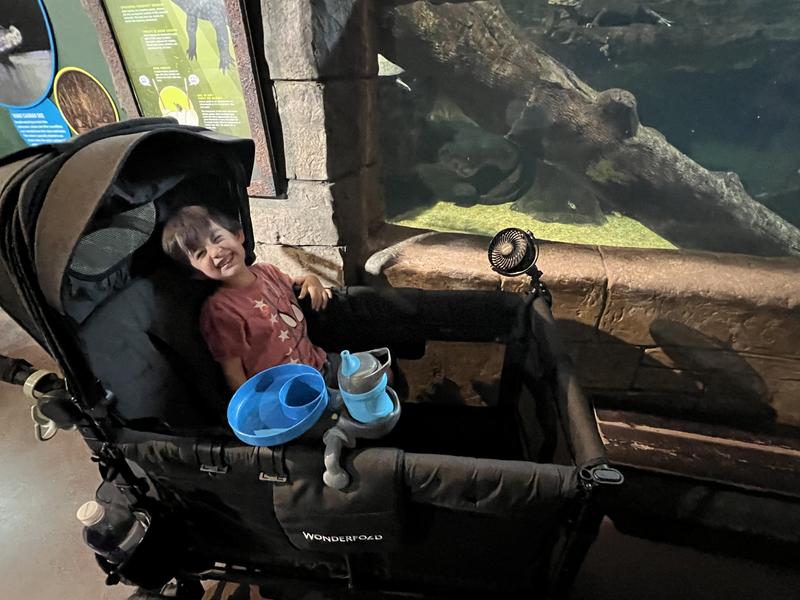 Review Thumbnail Image 0 226892110