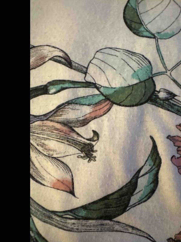 Review Thumbnail Image 0 244750637