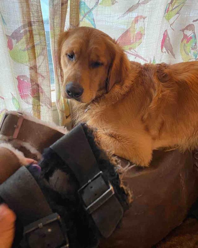 Review Thumbnail Image 4 224724997