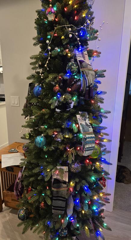 Review Thumbnail Image 0 238602802