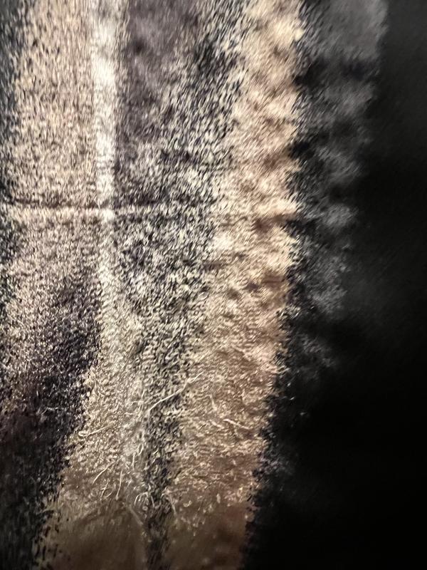 Review Thumbnail Image 1 231071561