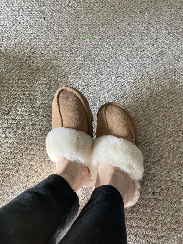 My favorite slippers